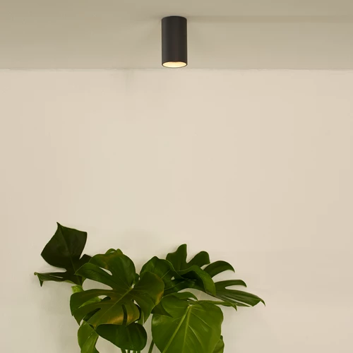 Lucide DELTO - Foco de techo - Ø 5,5 cm - LED Dim to warm - GU10 - 1x5W 2200K/3000K - Gris - ambiente 1